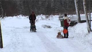 op de slee in Hult.wmv