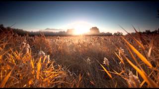 Hold on prod lyfe harris