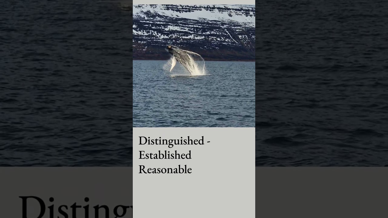 ¿Por qué es importante explorar el océano? ES General