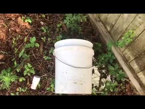 Homeowners Ruining Pool Time in South River, NJ