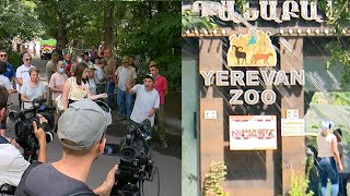 Կենդանաբանական այգու աշխատակիցները դեմ են տնօրենի նոր պաշտոնակատարին