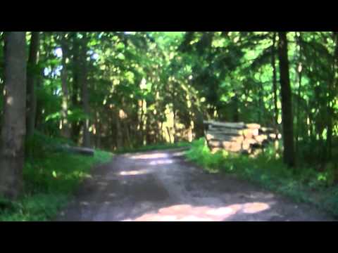 MongoTV_561 - Del 17 - Fede John På Skovtur Og Søndagsudflugt - 23.August 2015