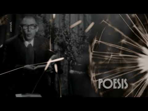 Poesis: Marin Sorescu – Developare (@Arhiva TVR)