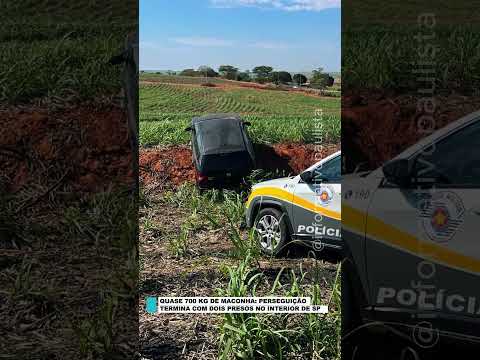 FUGA, CAPOTAMENTO E QUASE 700 KG DE MACONHA: DOIS SÃO PRESOS EM CLEMENTINA