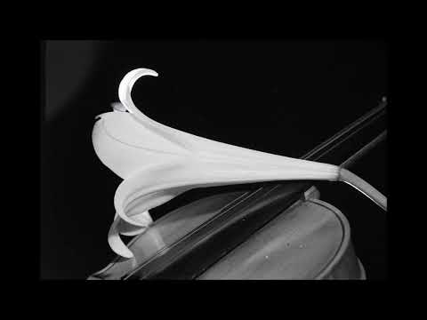 POPCORNOLDIES - WINSTON SAXTON ROSE  -  SKAGROOVE