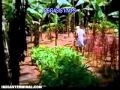 Oru Cheru Punchiri For CBSE 9th Std Students BY PEGASIS VMPS