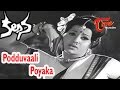 Kalpana Telugu Movie Songs Podduvaali Poyaka Video Song Murali Mohan Jayamalini