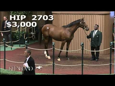 2013 Sept. Yearling Sale: Hip 2703 - Texas Red
