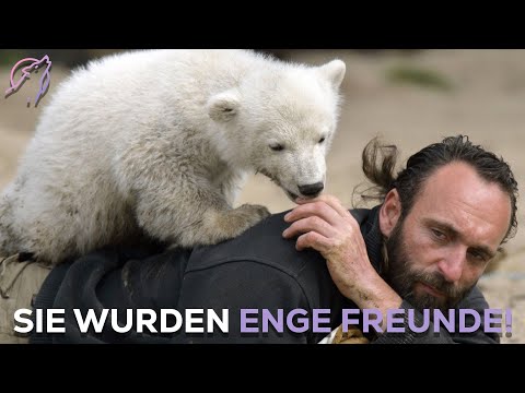 Wie dieser Eibär weltberühmt wurde!