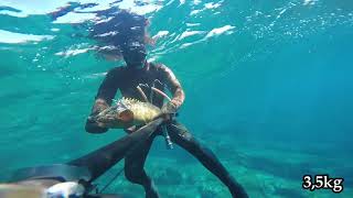 Croatia spearfishing Summer 2018 Croatia spearfishing Summer 2018