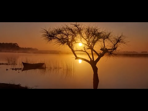 Rocha no tan solo eres palmar