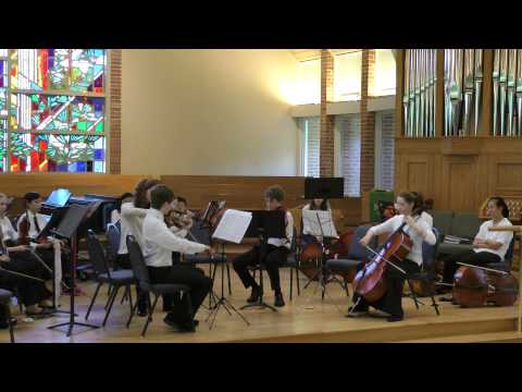 Dvorak String Quartet