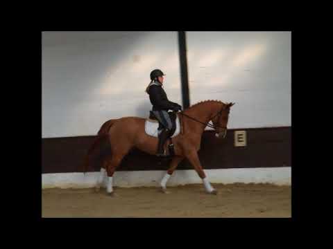 ELSA 4j v. Edward - Lauries Crusador xx  VB 9.000,- Euro