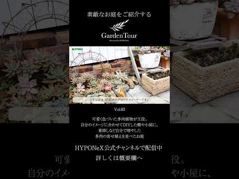 多肉植物-屋外-構成-多肉植物-デコ-ガーデン