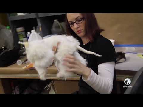 [Grumpy Cat Worst Christmas Ever] Behind The Scenes