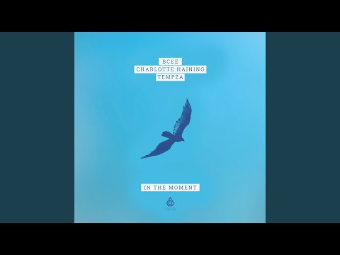 Video thumbnail for In The Moment