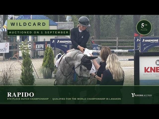 Rapido 5th place Championship