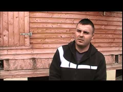 Porumbei voiajori - Interviu Oros Bogdan - FNCPR - Maratonistul din Vestul Romaniei