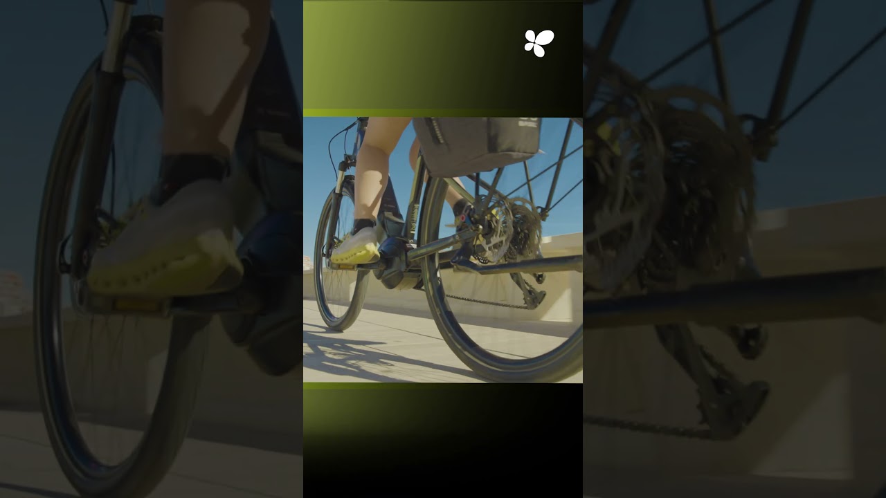 Renovación del paseo marítimo de Magaluf: un nuevo frente litoral