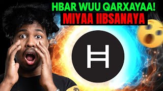 HBAR: Network-ka loogu talagalay Speed, Scale & Enterprise!🚀