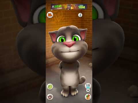 jina hai has ke hume | cat song | cats music | jhopdi K billu