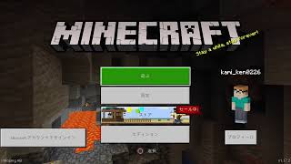 へいへいへ～い☆彡サバイバルモード序盤村の整備ほか#その1【#Minecraft     #PS5】(実況無し)〈 詳しくは概要欄チェックだぜぇ!!〉