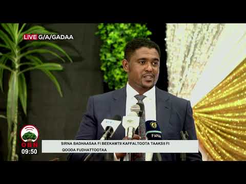 Galiin Gibiraa Misooma biyyaaf Oolaa jira PMNO Obbo Shimallis Abdiisaa 28 01 2013