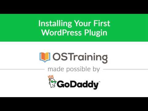 WordPress Beginner Tutorial 19 Installing Your First WordPress Plugin