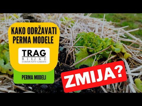 HOW TO MAINTAIN PERMA MODELS