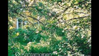 Ø - Antenni-Muurahais Antenna-Ant