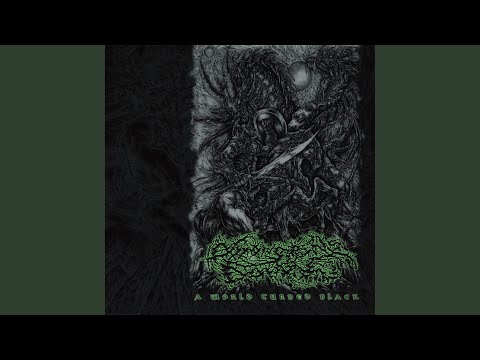 Jet Black (feat. FINAL RESTING PLACE)