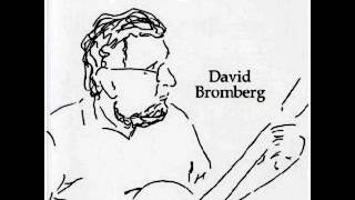 David Bromberg "Nobody Knows You,when Your Down & Out" 9-18-85