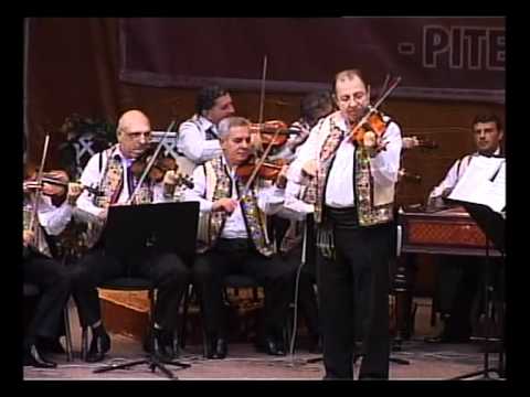 Festiva Zavaidoc 2011 - 1 - Deschiderea