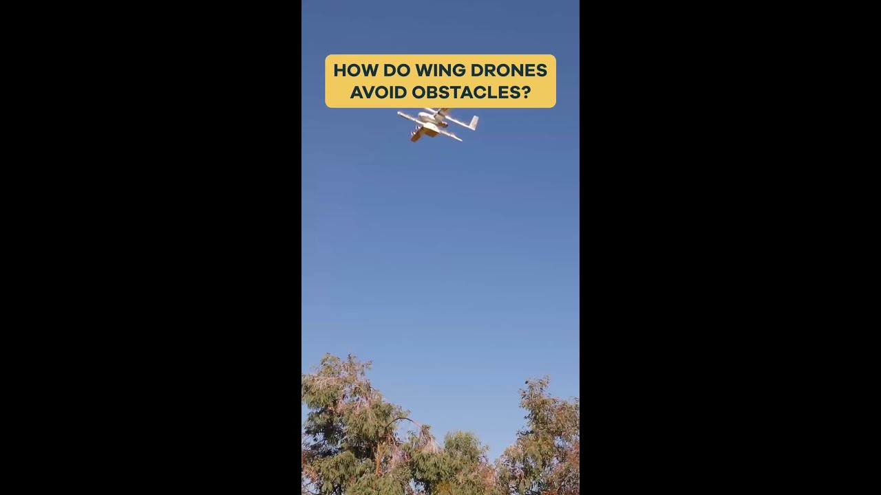 How Do Wing Drones Avoid Obstacles?