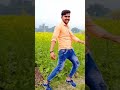 Sarso Ke Safiya Taja