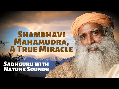Shambhavi Mahamudra, A True Miracle - Sadhguru with Sounds of Nature
