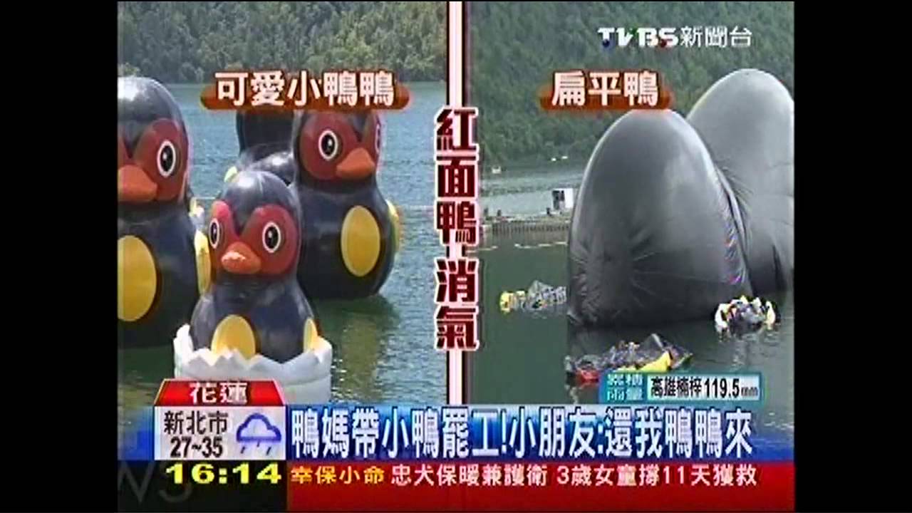 紅面鴨全消氣! 鯉魚潭小鴨攤一片