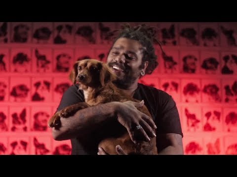 {Não Dá} {Não Dá} Best Songs
