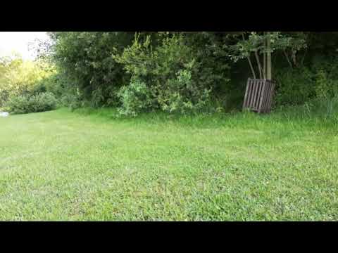 Lacul Poiana Corbilor lângă Dorolea! ✌️👍🌤️🌊🐬... Un loc foarte frumos!