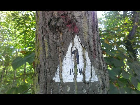 IVV RWW Berlin Strecke 1 eine Wegbeschreibung mit Orientierungsübung