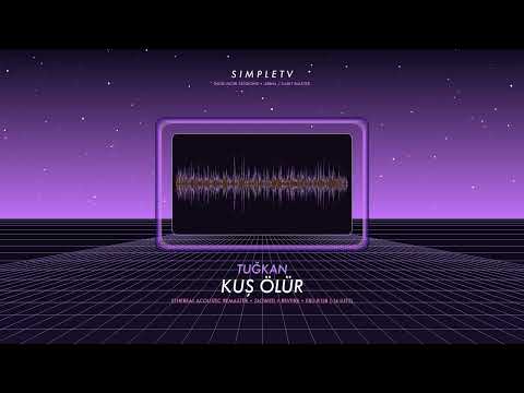 Tuğkan - Kuş Ölür (Slowed + Reverb) | SimpleTV Twilight Indie Remaster