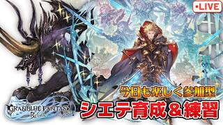 【視聴者参加型】今日も楽しく参加型！シエテお兄さんを育成していくゾ★参加自由【グラブルリリンク】【PS5版】※ネタバレ注意