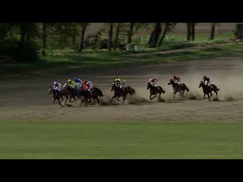 5. dostih - Cena města Pardubice / Úvodní Cross Country Koroka - dostihy Pardubice 8. 5. 2019