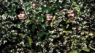 Postumia - The Zen Circus (Lyrics)