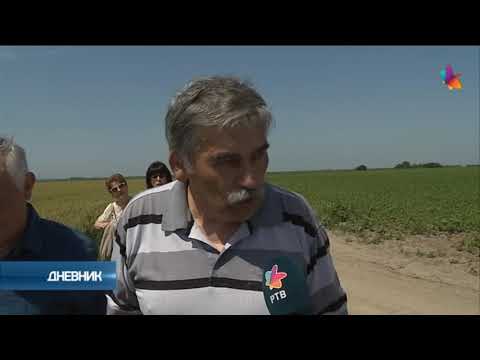 Bez zarade na pšenici ove godine