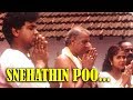 Snehathin Poo Nulli Deepasthambham Mahascharyam Movie Song Dileep Jomol