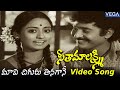 Seetha Maalakshmi Movie Songs Maavi Chiguru Tinagane Video Song Chandra Mohan Talluri Rameshwari