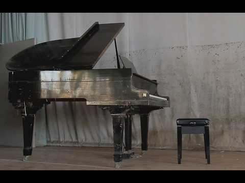 The Primordial Light, Ryuichi Sakamoto's Memory Circuits