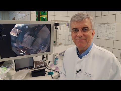 Durch Magen und Darm : Die Gesundmacher | Reportage