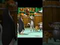 King Julien refused to suck seed😂😂 like share and subscribe for more ❤️